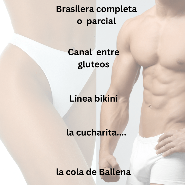 Brasilera completa o parcial, canal entre gluteos, linea del bikini, la cucharita, la cola de ballena