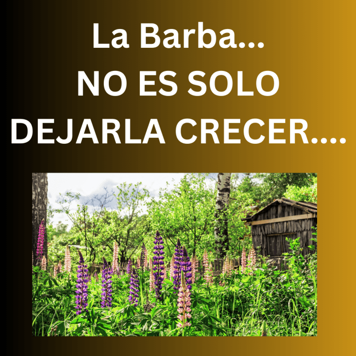 La barba no es solo dejarla crecer...